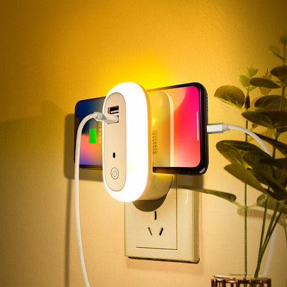 Oval Small Night Lamp With Dual USB Charging Port Remote Control Timing Plug-in Wall